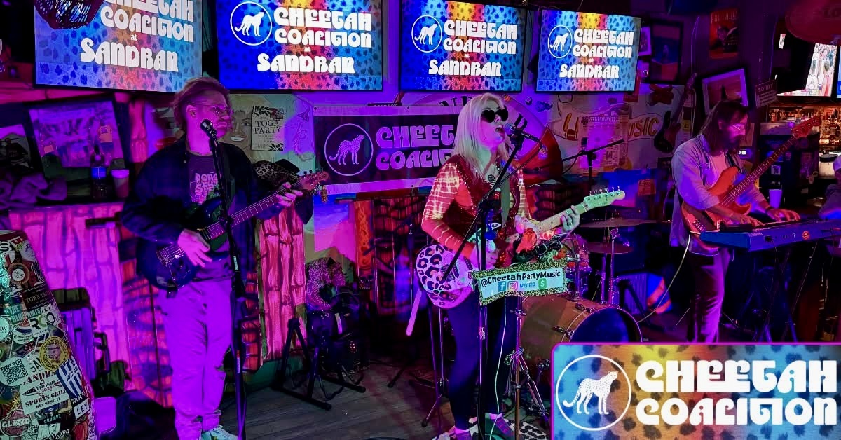 Cheetah Coalition Cheetah Coalition band photo